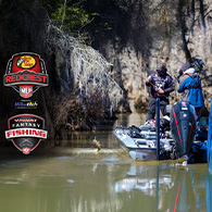 MLF Redcrest 2025